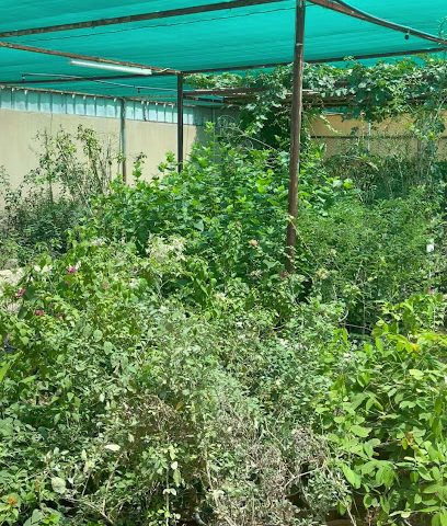 مشتل حارة العين - ماناه - +968 9596 4480