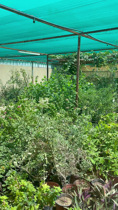 مشتل حارة العين - Oman|Manah|RH5F+VXQ