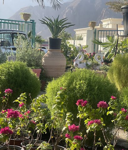 مشتل الهدية الخضراء - إزكي - +968 7193 6363