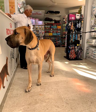 عيادة العذيبة البيطرية عيادة العذيبة البيطرية - مسقط - +968 24 121171