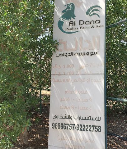 دجاج الدانة - مهده - +968 9578 2397