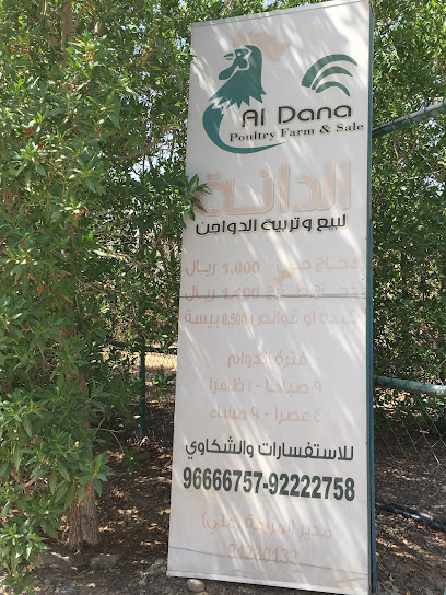 دجاج الدانة - Oman|Mahdah|Unnamed Road