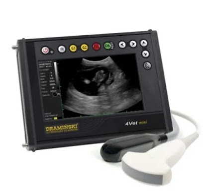 عيادة بيطرية - DQTESTLLC ، البريمي - البريمي - +968 9934 9915