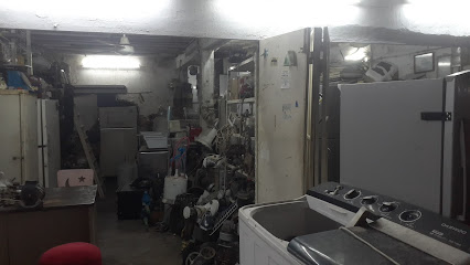 مقهى الشلة - فانجا -