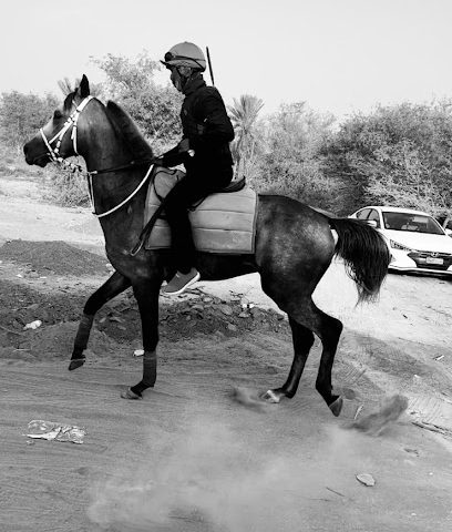 AMA إسطبل - بركاء - +968 9268 0068