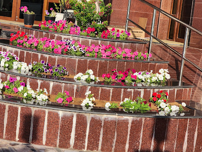 ستوديو أريج المها - صور - +968 9513 2627