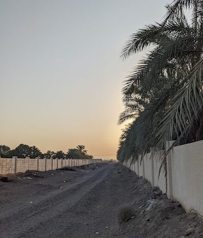 حضانة فالي للخدمات الزراعية في صحار - صحار - +968 9941 6073