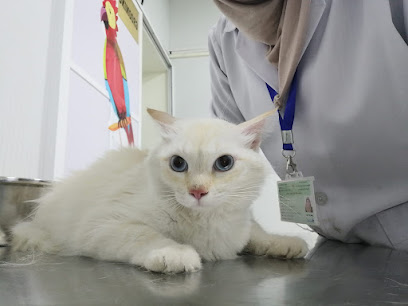 عيادة بيطرية نجوم بيطرية - السيب - +968 9888 9250