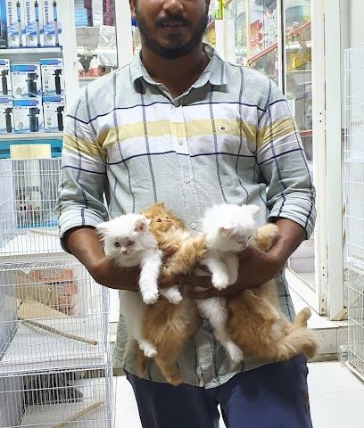 متجر رومون للحيوانات الاليفة - صلالة - +968 9361 7351