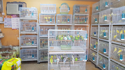 الصقور البرية الوطنية - السيب - +968 9144 5152