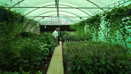 حدائق نهر النيل جولدان - السيب - +968 24 422816