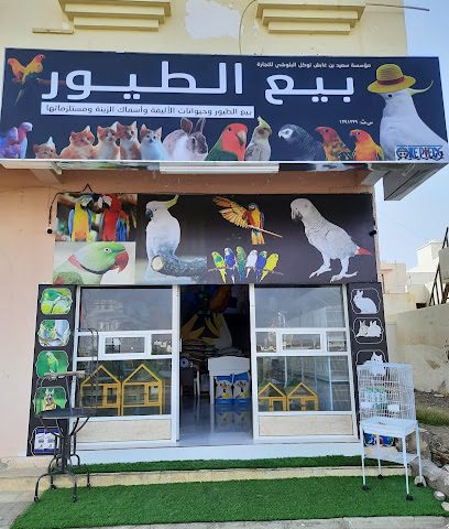 Pet Shop، صور (بيع طيور، صور) - صور - +968 9444 9469
