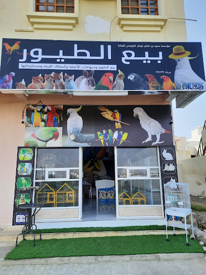 Pet Shop، صور (بيع طيور، صور) - Oman|Sur|HGC8+RQ2