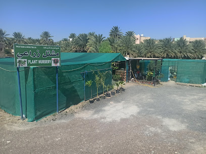 مشتل زراعي بهلا - بهلاء - +968 9670 6701