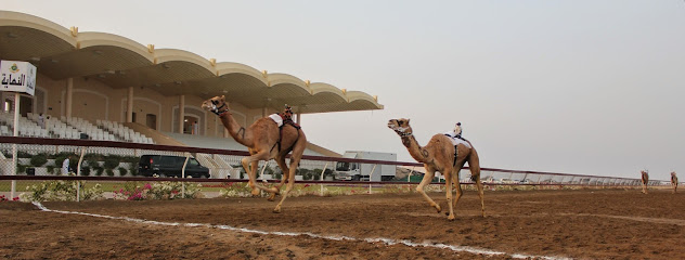 مضمار سباق الهجن بالفليج - الأفلاج -