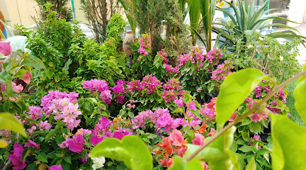 حضانة زهور ابها - ولاية عبري - +968 9392 5216