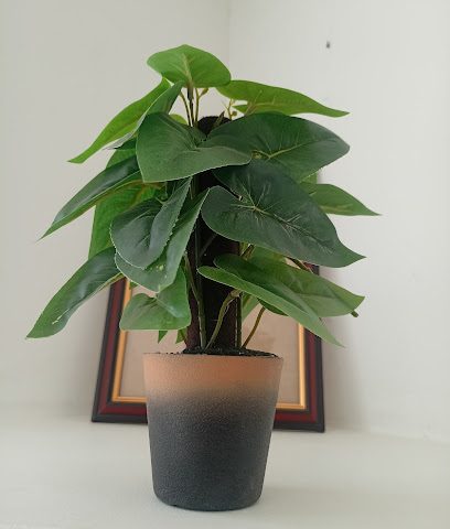 بهلاء ، المعمورة ، استوديو تصوير - الحمرا - +968 7118 9900