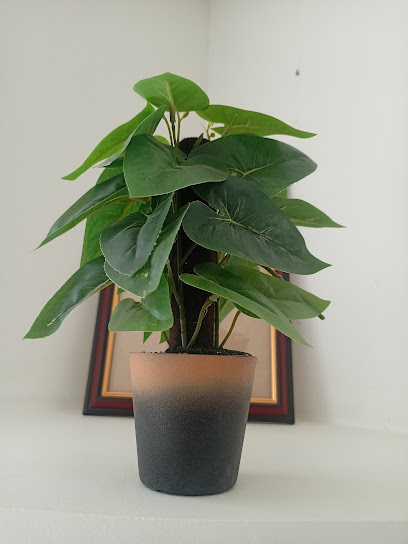 بهلاء ، المعمورة ، استوديو تصوير - Oman|Al Hamra|Bahla - Al Hamra Road