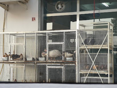 ريف الخليج لتجارة الطيور - صور ، -