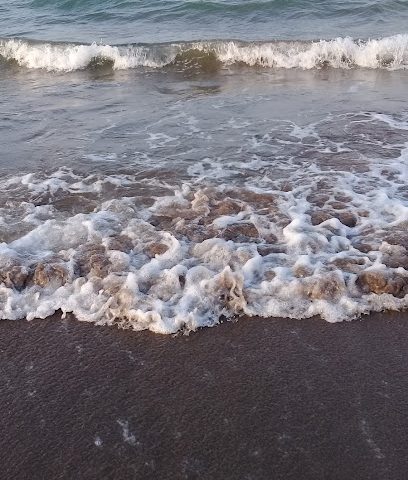 برجر 4 يو - الردة -