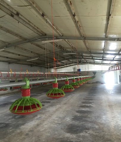 شركة زاهر مزرعة دواجن حضائر - المركاض Al Hamra OM - +968 9946 9516