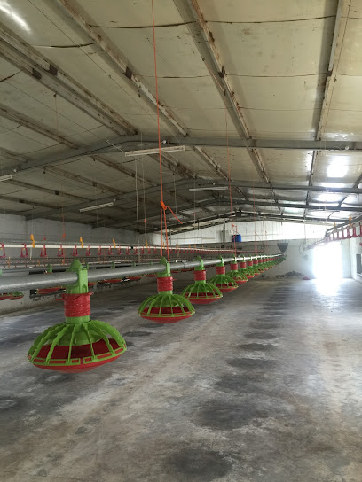 شركة زاهر مزرعة دواجن حضائر - Oman|617|المركاض Al Hamra OM