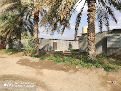 مزرعة نور ورفيق للدجاج - يرتفع - +968 9952 0751