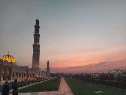 جولات مغامرات الهجن الصحراوية - بركة الموز - +968 9463 4261