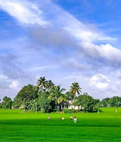 مجرة الميزان - صلالة -