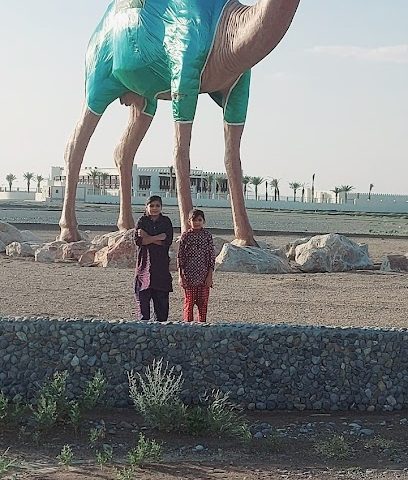 أكاديمية يسر للإستشارات التربوية - ردة البوسعيد ، - +968 7120 2007