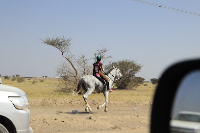 قرية القدرة والتحمل - الوهرة -