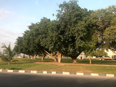 الحديقة العامة - حديقة الأطفال - صلالة -