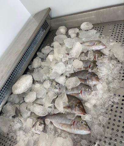 مطعم و مقهى قصر الضيافة للمندي - الخابورة - +968 9666 1912