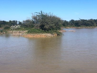 سيح المكارم - صحار -