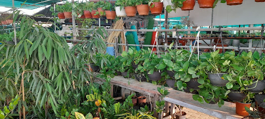 حضانة الروابي الخضراء مشتل الروابي الاخضر - السيب -