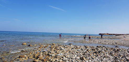 شاطئ الصافراوي - بيما -