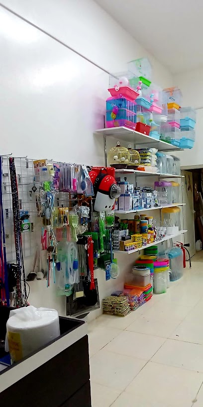 حيوانات الراكون - Oman|Al Buraimi|شارع صحار