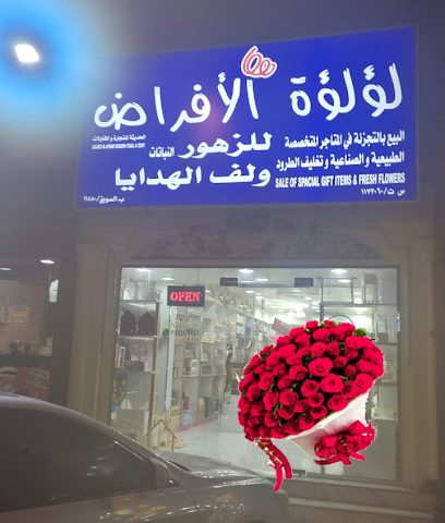 بروتين النمر - تاوي بيدي جيش - +968 9521 1282