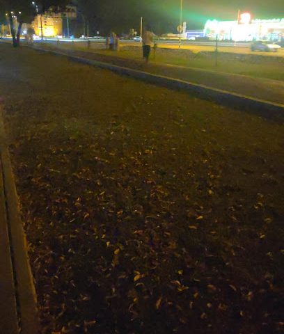 مضمار وادي كبير للمشي وركوب الدراجات - مسقط -