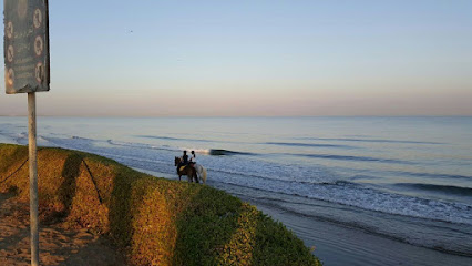 عالم العقارات الخليجية عمان - مسقط - +968 9944 5520