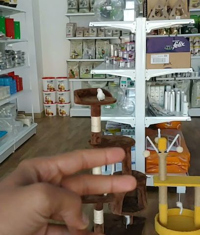 متجر الحيوانات الأليفة الببغاوات - نزوى -