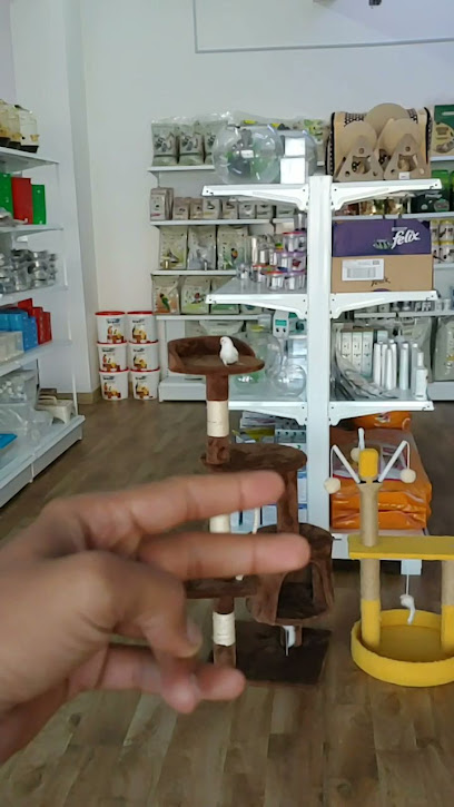 متجر الحيوانات الأليفة الببغاوات - Oman|Nizwa|VGGR+VCF