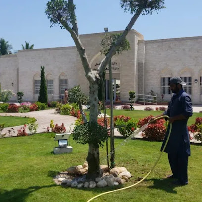 مشتل نباتات - صلالة - +968 9225 3795