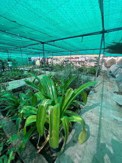 مشتل فيض المعمورة - Oman|Bahla 123