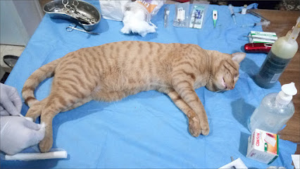 عيادة بيطرية - بهلاء - +968 9971 7024