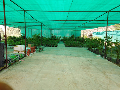 مشتل الجنائن الخضراء الجديدة - بهلاء ، - +968 9270 2720