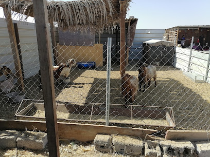 عزبة عمر البلوشي - مسار أنبوب الغاز ، -