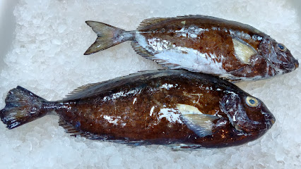 سلة السمك ، فنجا -  - +968 9470 1999