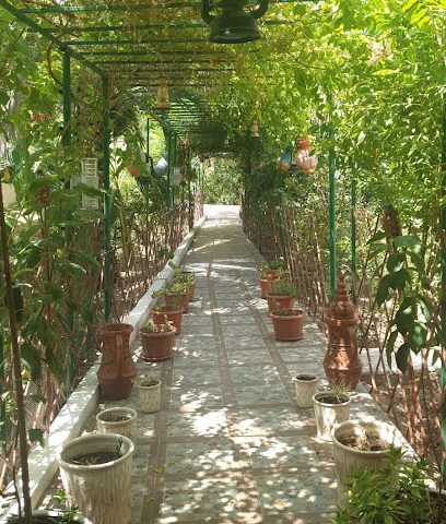 منتجع دار الخير - الحمرا - +968 9677 9974