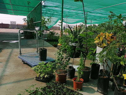 مشتل ورد عمان - الأفلاج -